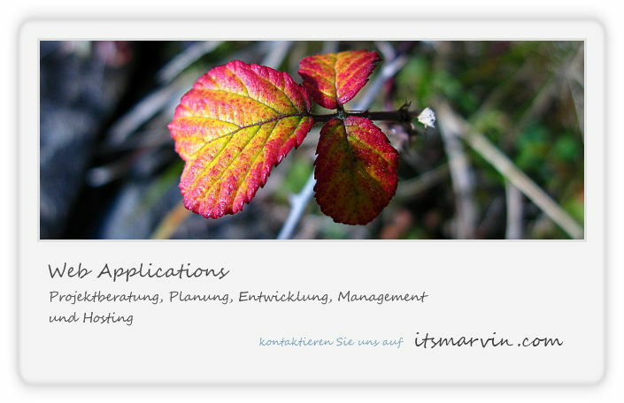 Projektberatung, Planung, Entwicklung und Hosting