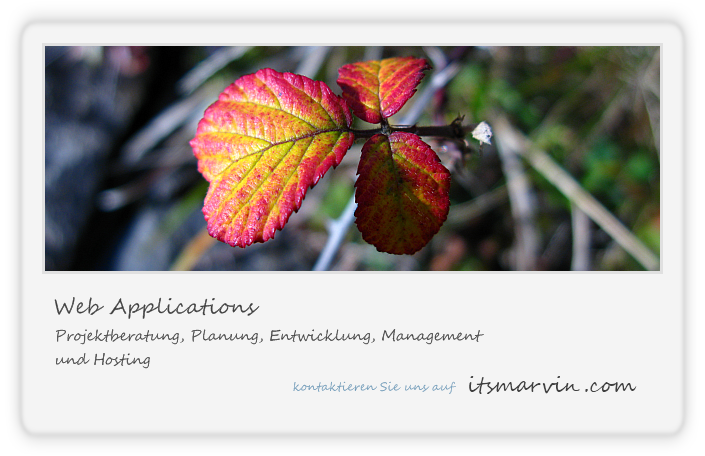 Projektberatung, Planung, Entwicklung, Management und Hosting